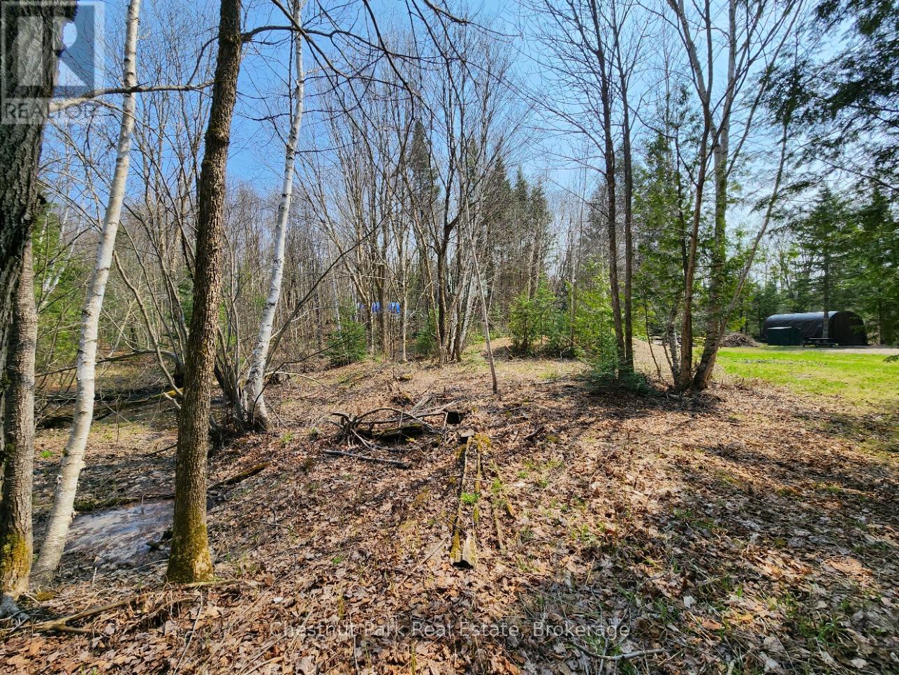 730 Echo Ridge Road, Kearney, Ontario  P0A 1M0 - Photo 11 - X12407078