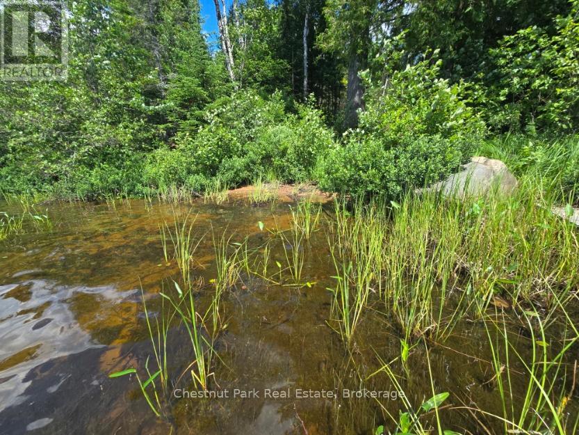 730 Echo Ridge Road, Kearney, Ontario  P0A 1M0 - Photo 28 - X12407078