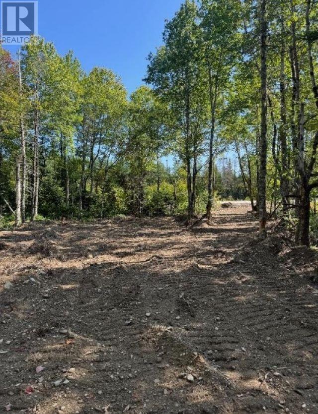 Lot Highway 203, East Kemptville, Nova Scotia  B5A 5P4 - Photo 8 - 202423721