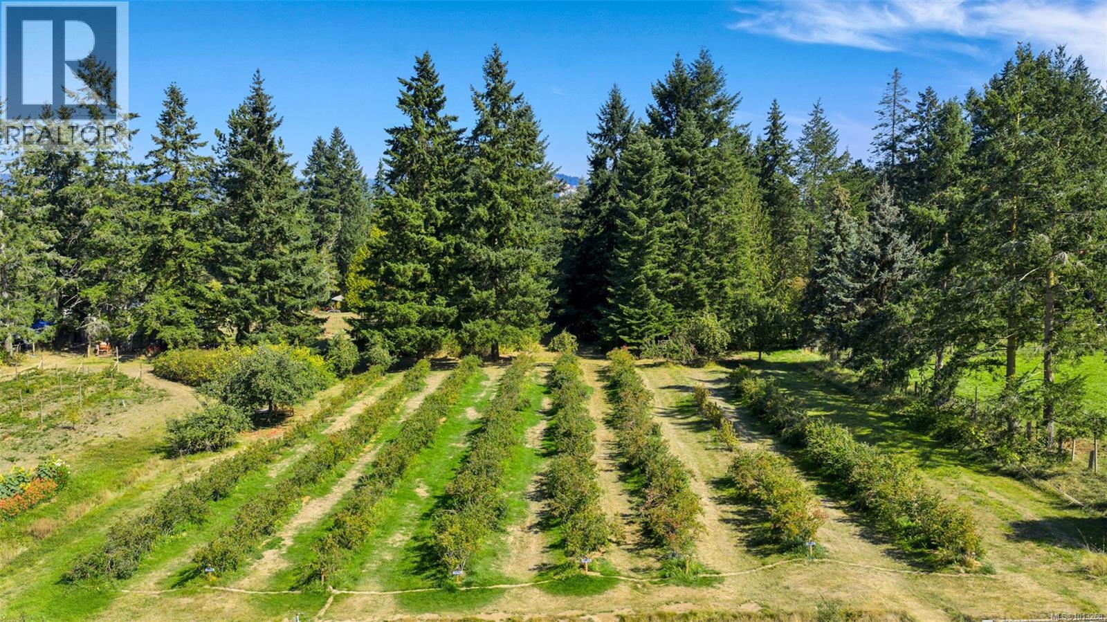 3840 Telegraph Rd, Cobble Hill, British Columbia  V0R 1L4 - Photo 34 - 1013268