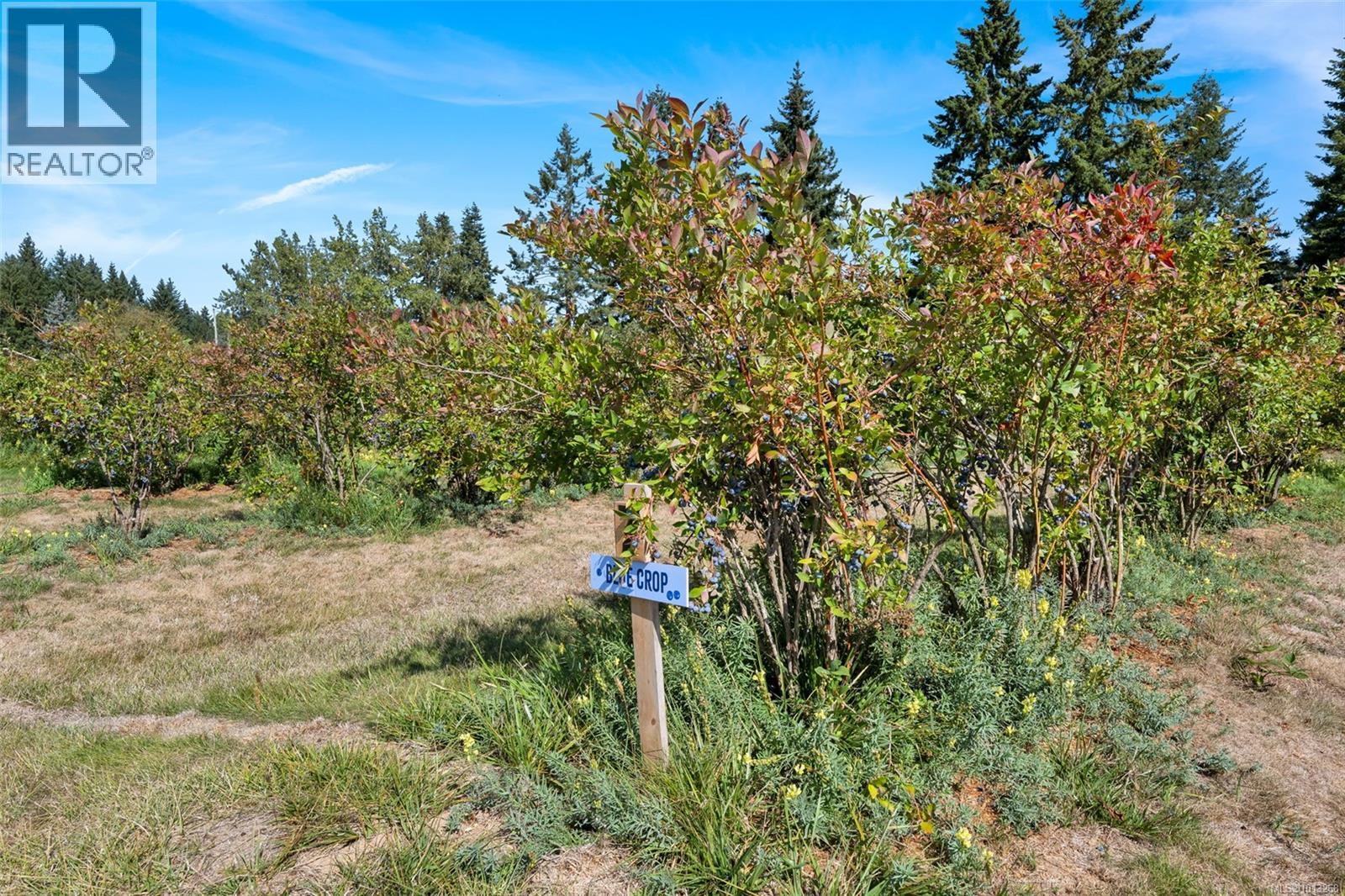 3840 Telegraph Rd, Cobble Hill, British Columbia  V0R 1L4 - Photo 39 - 1013268