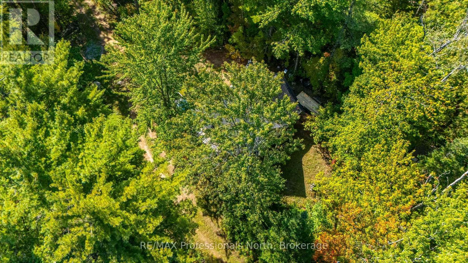 319 Boundary Road, Minden Hills, Ontario  K0M 2A1 - Photo 24 - X12407169