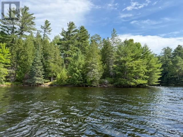 5420 Centennial Lake Road, Greater Madawaska, Ontario  K0J 2R0 - Photo 11 - X12392056