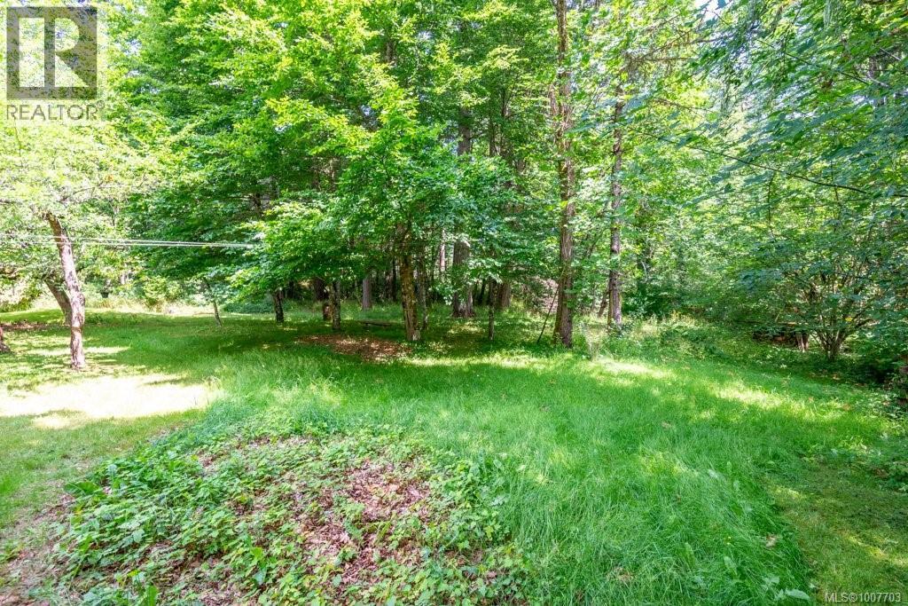 3951 Forbidden Plateau Rd, Courtenay, British Columbia  V9J 1P9 - Photo 14 - 1007703