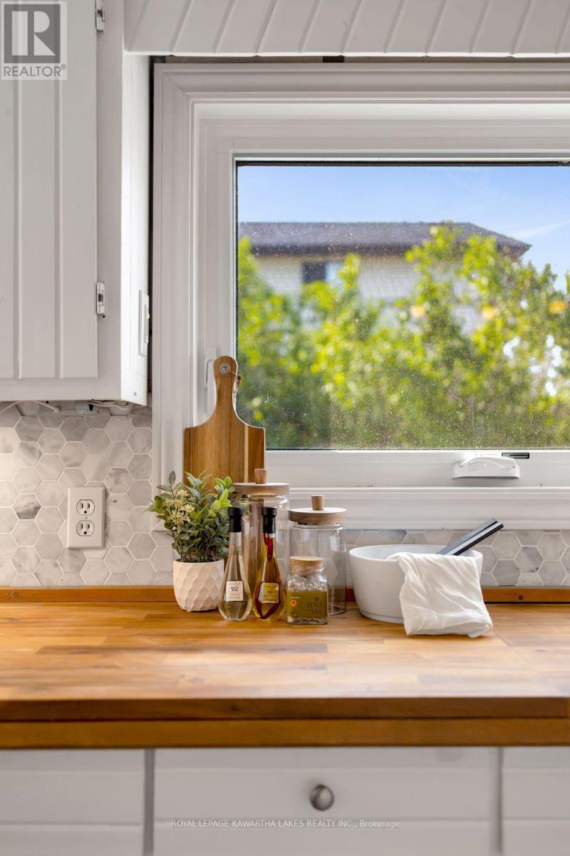 19 Prince Street E, Kawartha Lakes, Ontario  K0M 1A0 - Photo 23 - X12407167