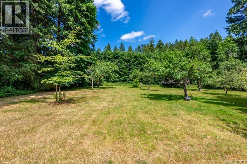 3951 Forbidden Plateau Rd, Courtenay, British Columbia  V9J 1P9 - Photo 21 - 1007703