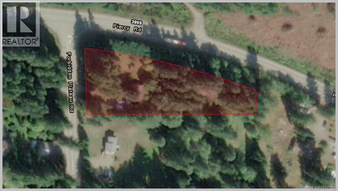 3951 Forbidden Plateau Rd, Courtenay, British Columbia  V9J 1P9 - Photo 28 - 1007703
