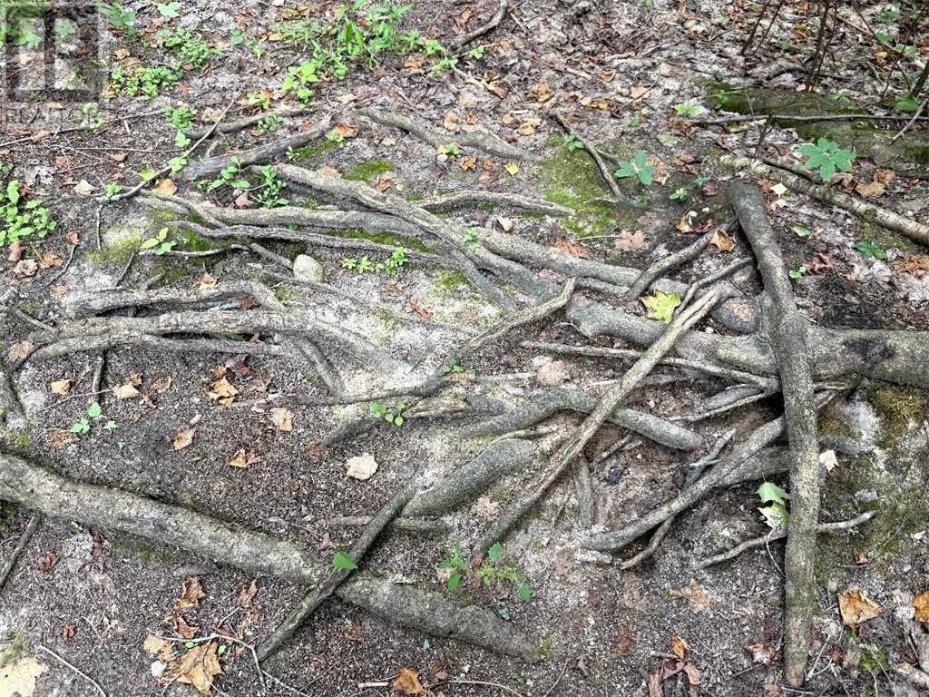 Lt 13-14 Con 5, Manitoulin Island, Ontario    - Photo 13 - 2123823