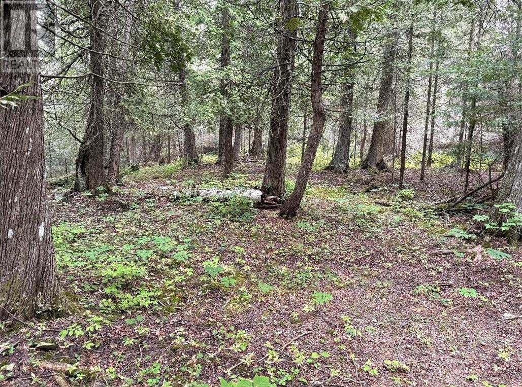 Lt 13-14 Con 5, Manitoulin Island, Ontario    - Photo 10 - 2123823