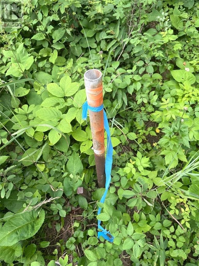 Lt 13-14 Con 5, Manitoulin Island, Ontario    - Photo 28 - 2123823