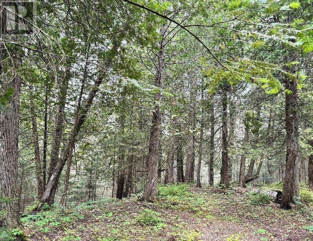 Lt 13-14 Con 5, Manitoulin Island, Ontario    - Photo 2 - 2123824