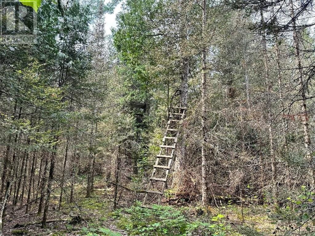 Lt 13-14 Con 5, Manitoulin Island, Ontario    - Photo 23 - 2123824