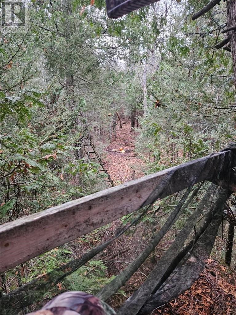 Lt 13-14 Con 5, Manitoulin Island, Ontario    - Photo 19 - 2123824