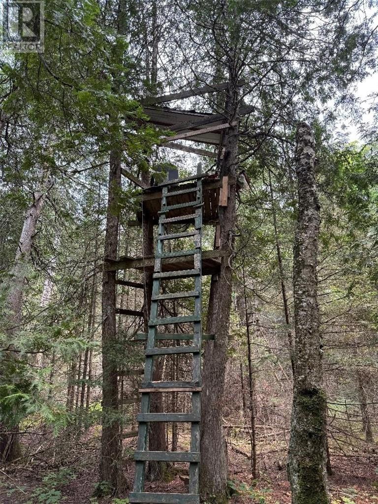 Lt 13-14 Con 5, Manitoulin Island, Ontario    - Photo 24 - 2123824