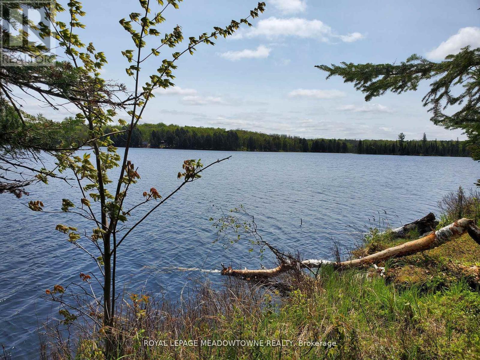 Pt4,5,6 Cadden Lake, Parry Sound Remote Area (East Mills), Ontario  P0H 1A0 - Photo 5 - X12407198