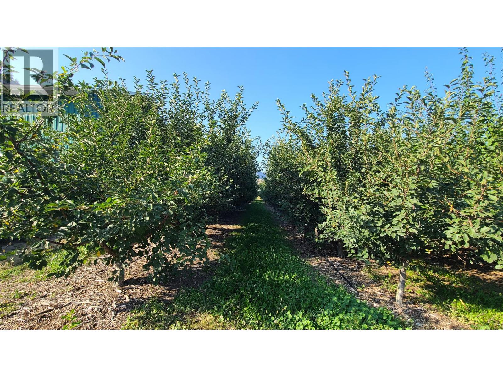 7298 Hwy 97 Highway, Oliver, British Columbia  V0H 1T0 - Photo 15 - 10362673