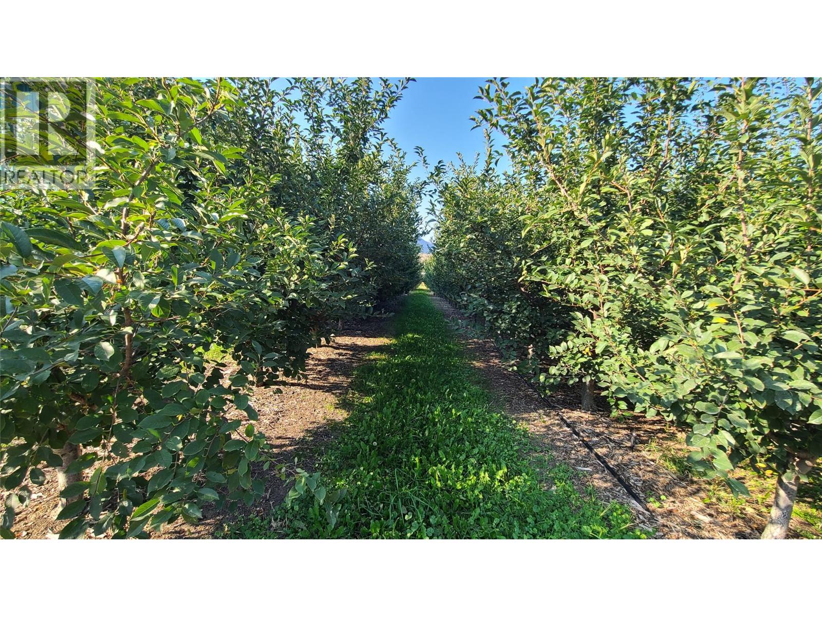 7298 Hwy 97 Highway, Oliver, British Columbia  V0H 1T0 - Photo 17 - 10362673