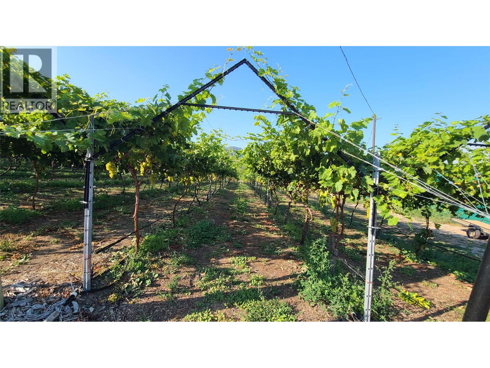 7298 Hwy 97 Highway, Oliver, British Columbia  V0H 1T0 - Photo 3 - 10362673