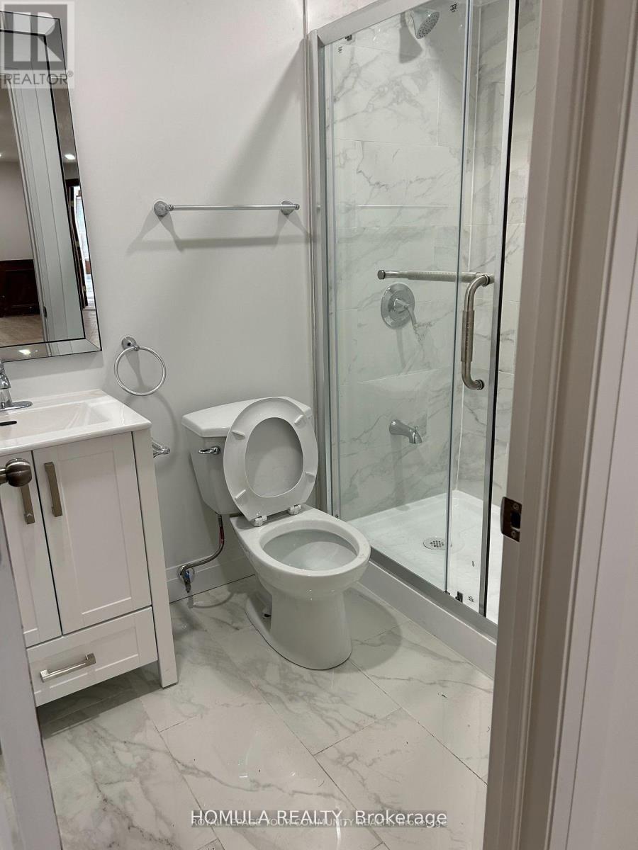 Basement - 19 Tannery Court, Richmond Hill, Ontario  L4C 7V5 - Photo 15 - N12406930