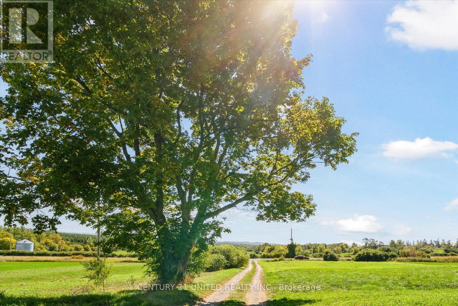 872 County Road 2, Otonabee-South Monaghan, Ontario  K0L 1B0 - Photo 4 - X12407434