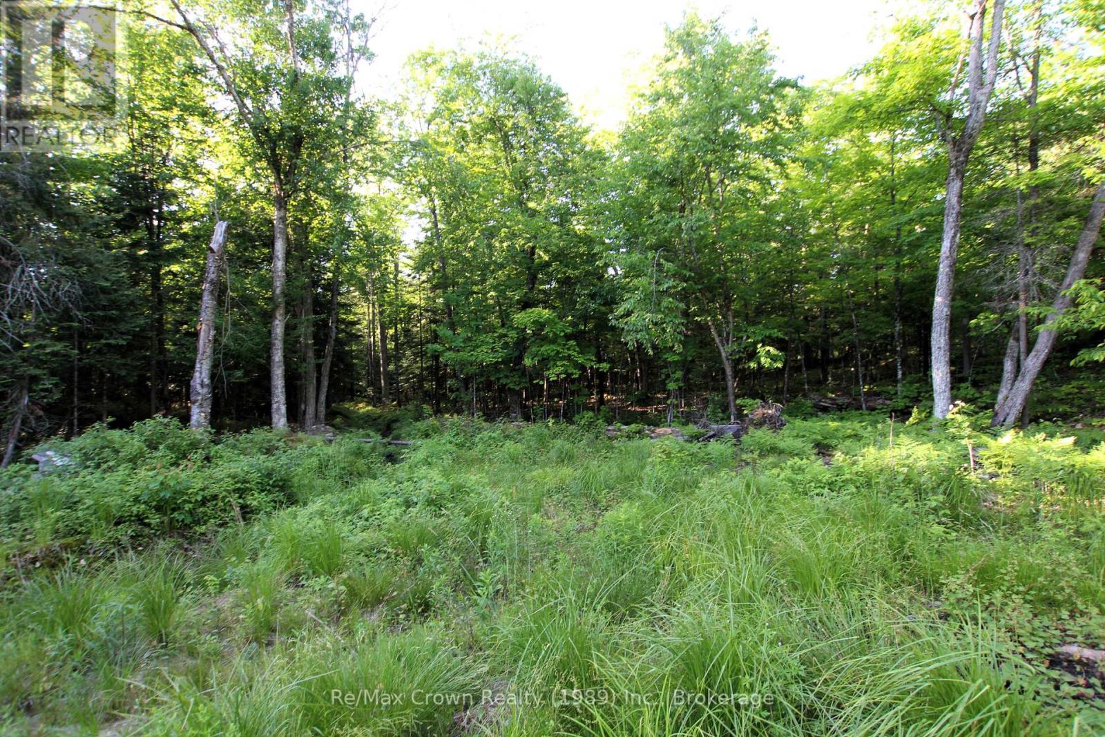 453 Pilgers Road, Nipissing, Ontario  P0H 1J0 - Photo 16 - X12403051