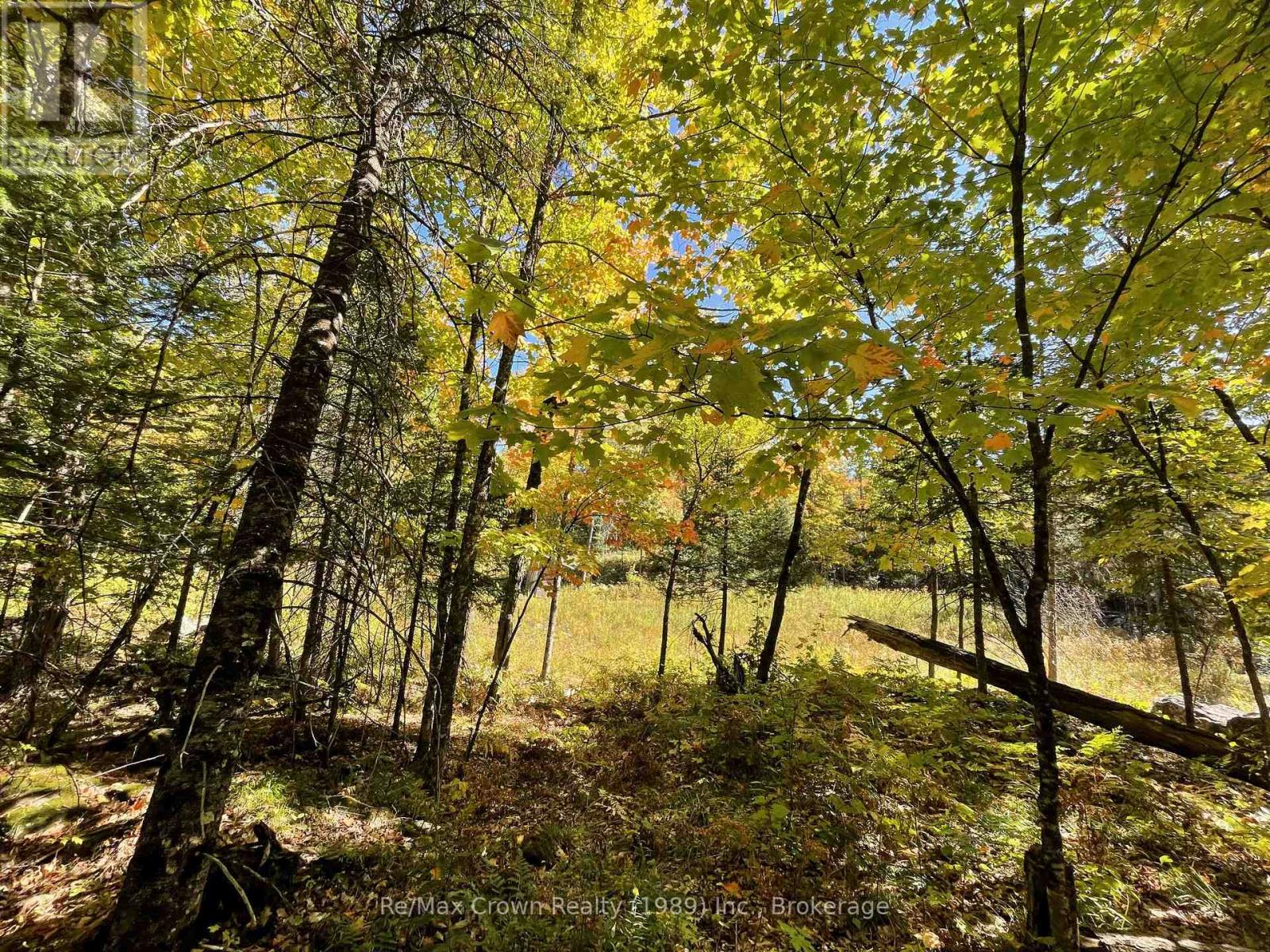 453 Pilgers Road, Nipissing, Ontario  P0H 1J0 - Photo 4 - X12403051
