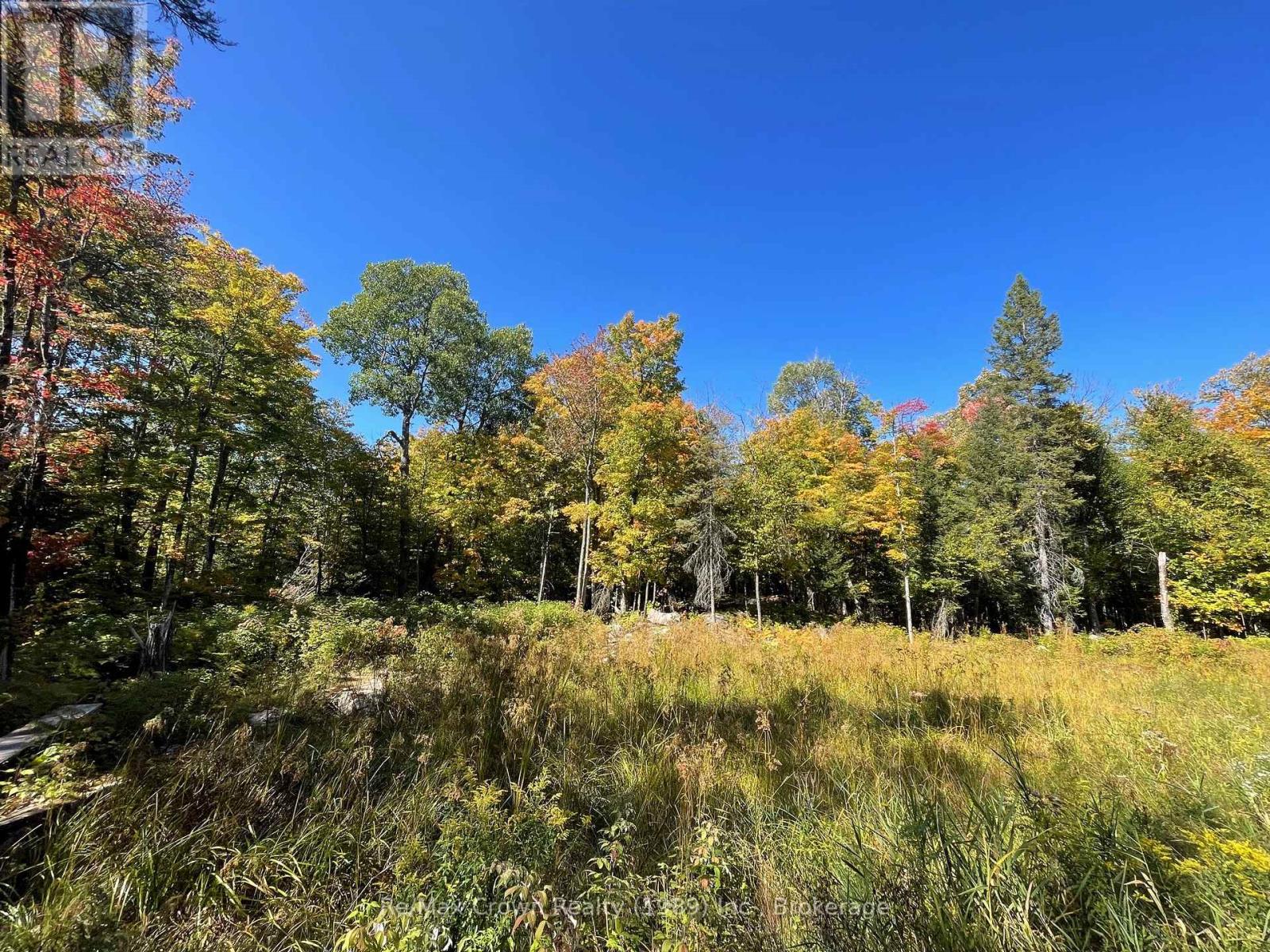 453 Pilgers Road, Nipissing, Ontario  P0H 1J0 - Photo 8 - X12403051