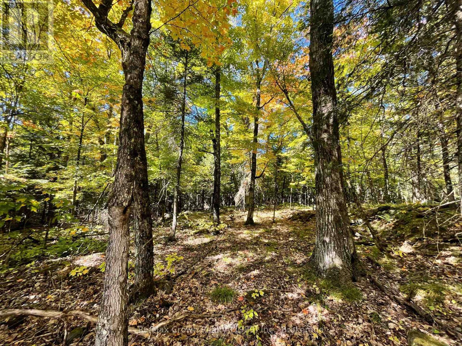 453 Pilgers Road, Nipissing, Ontario  P0H 1J0 - Photo 3 - X12403051