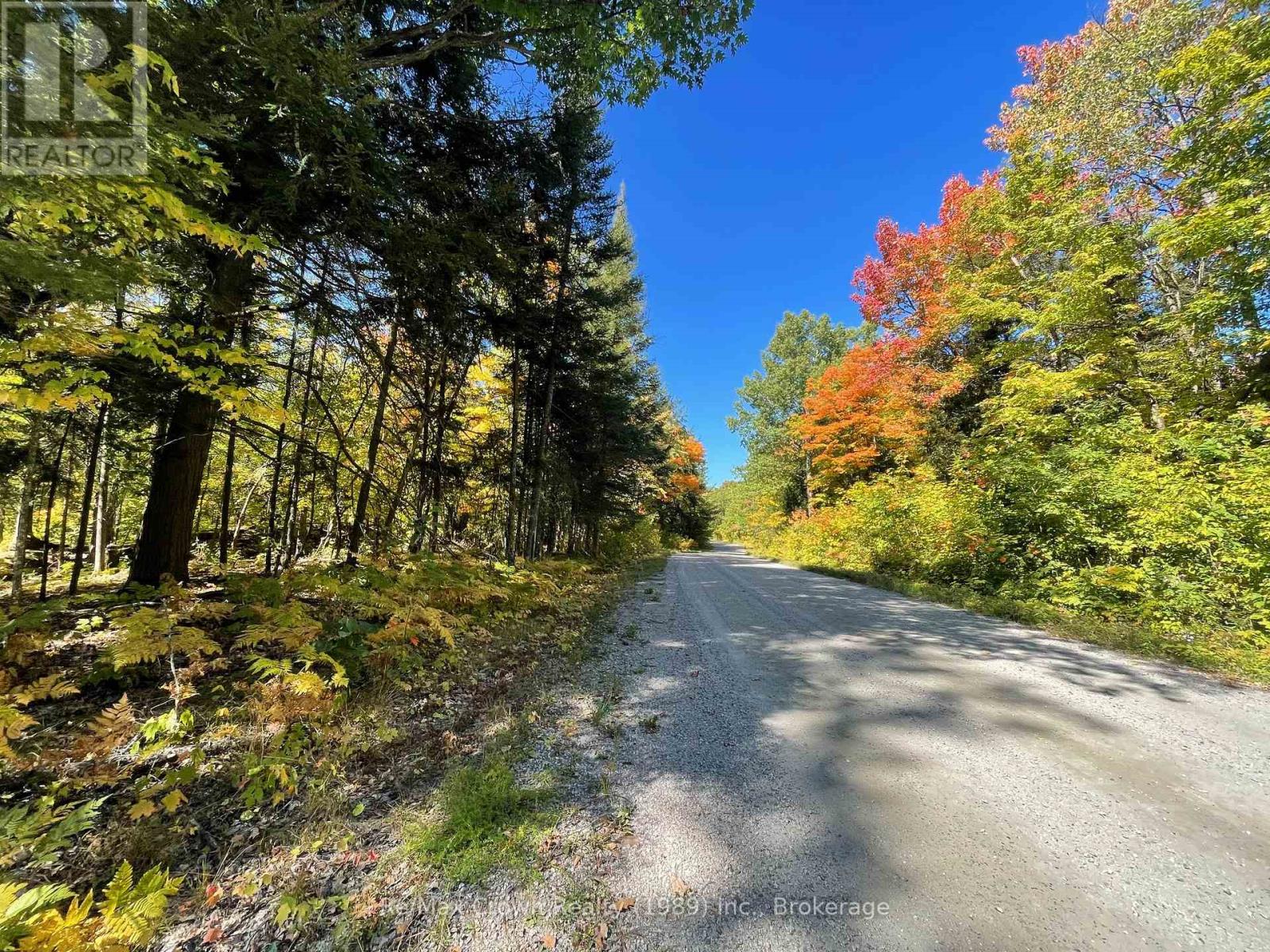 453 Pilgers Road, Nipissing, Ontario  P0H 1J0 - Photo 5 - X12403051