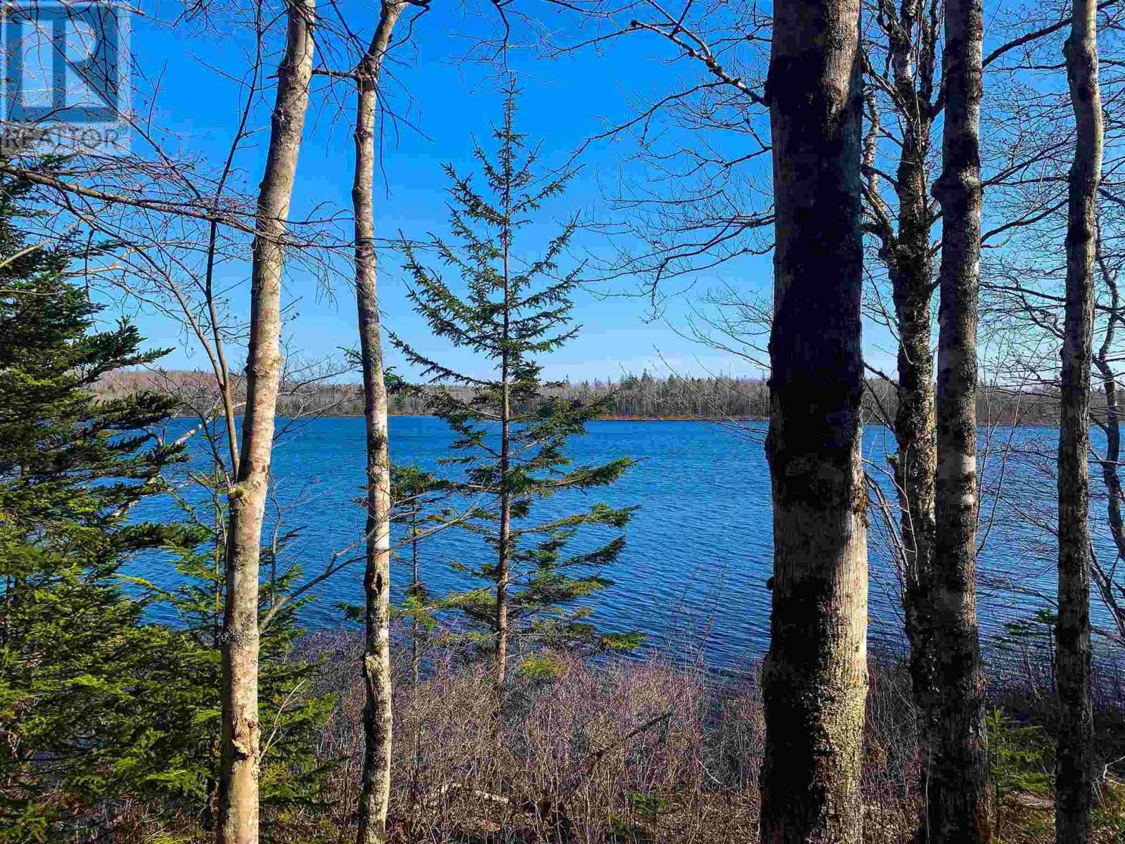 Lot Lake Edward, Lake Annis, Nova Scotia  B5A 5L7 - Photo 10 - 202523477