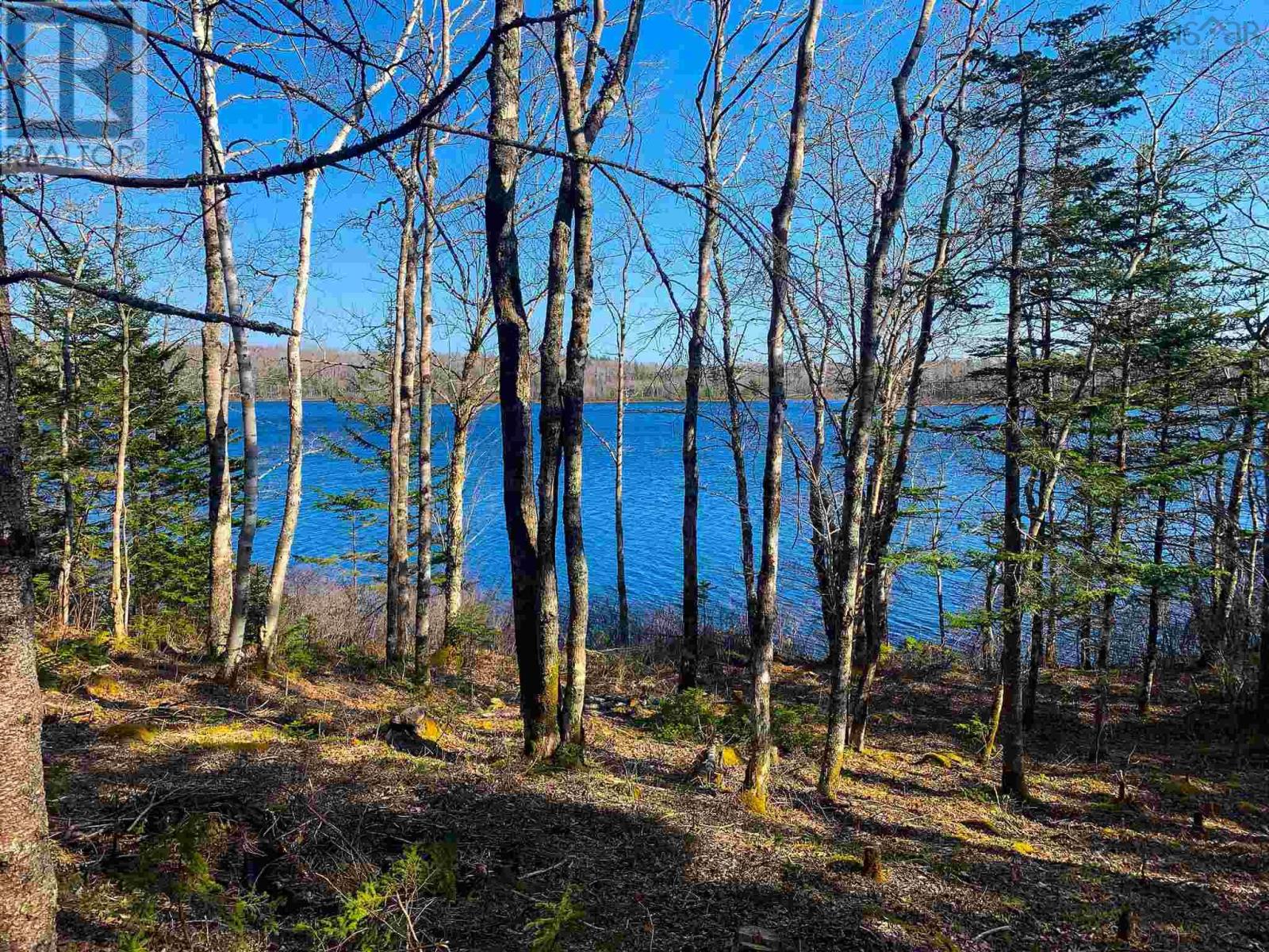 Lot Lake Edward, Lake Annis, Nova Scotia  B5A 5L7 - Photo 11 - 202523477