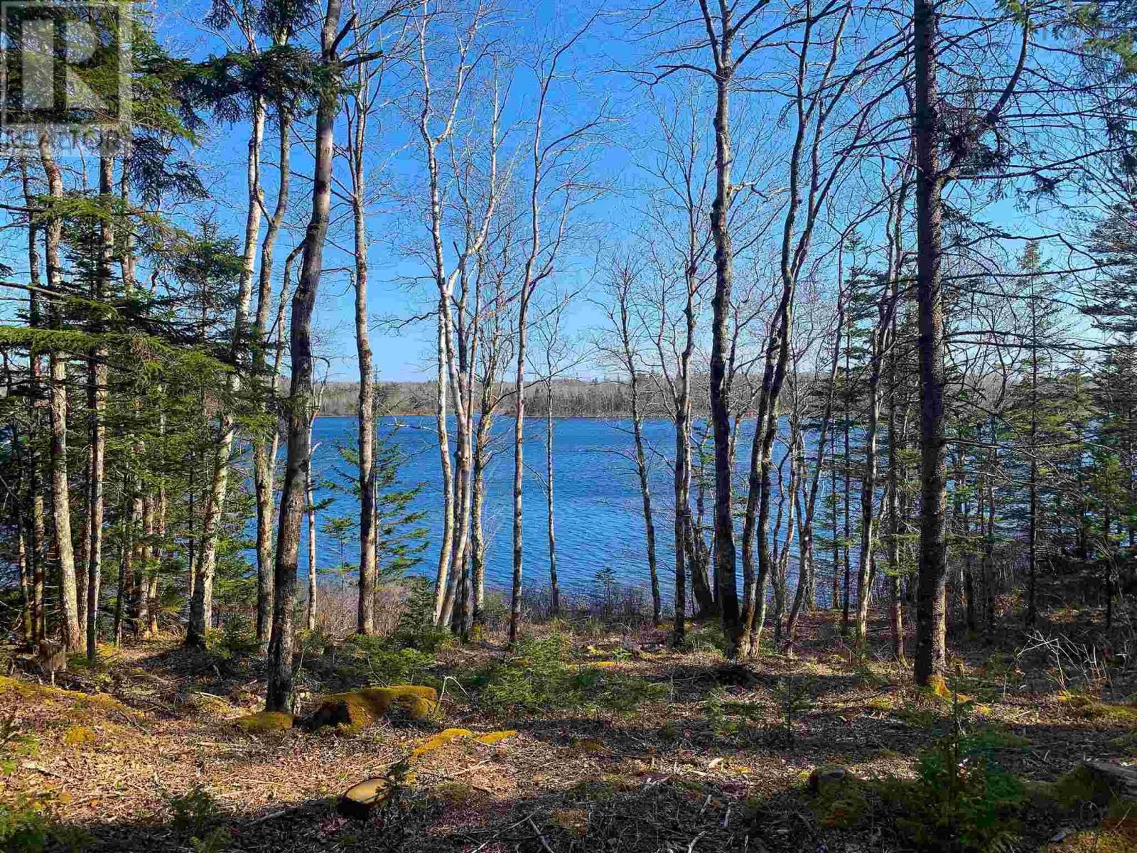 Lot Lake Edward, Lake Annis, Nova Scotia  B5A 5L7 - Photo 12 - 202523477