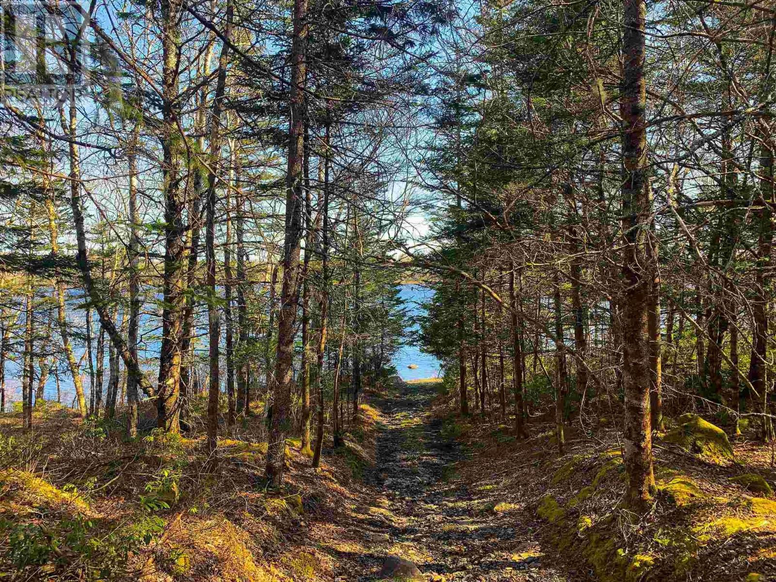 Lot Lake Edward, Lake Annis, Nova Scotia  B5A 5L7 - Photo 13 - 202523477