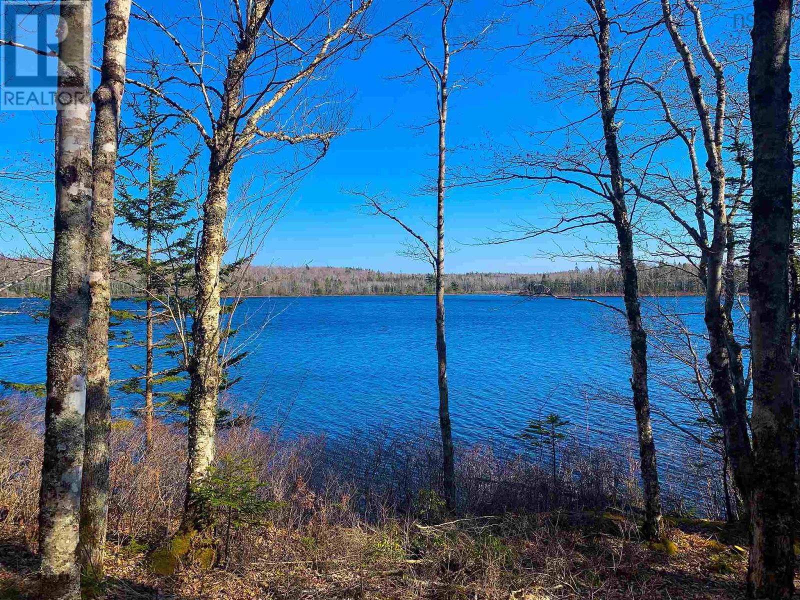 Lot Lake Edward, Lake Annis, Nova Scotia  B5A 5L7 - Photo 9 - 202523477