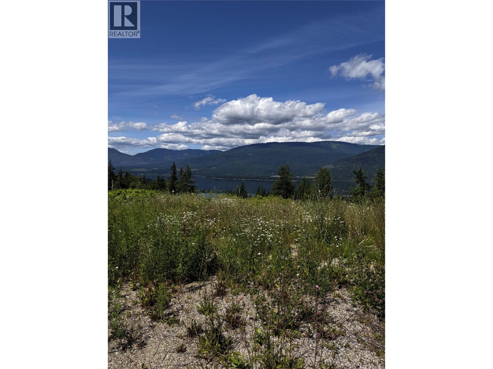 5036 Heritage Drive, Eagle Bay, British Columbia  V0E 1T0 - Photo 41 - 10334434