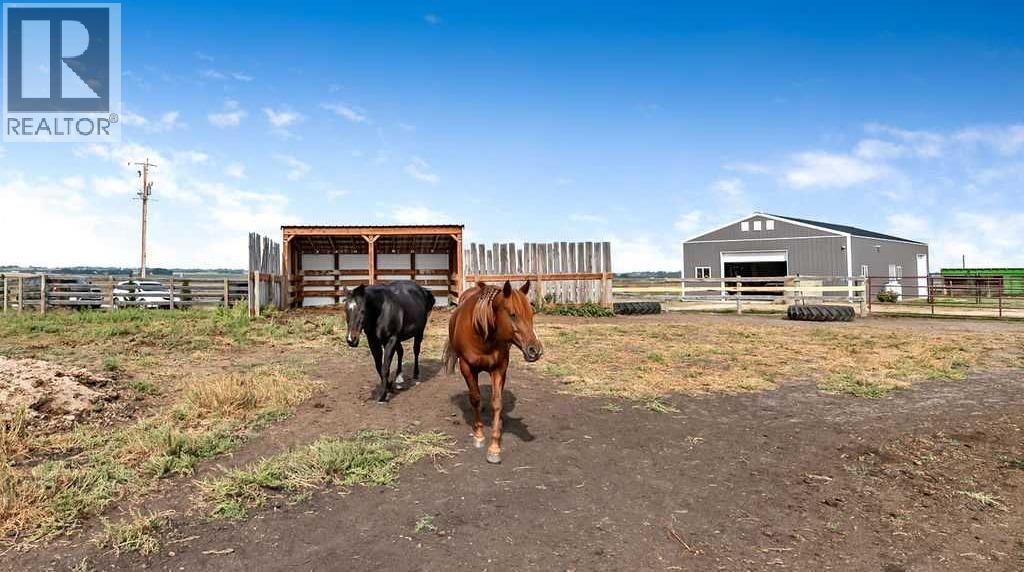 233055 Range Road 250, Rural Wheatland County, Alberta  T1P 1J6 - Photo 36 - A2256052