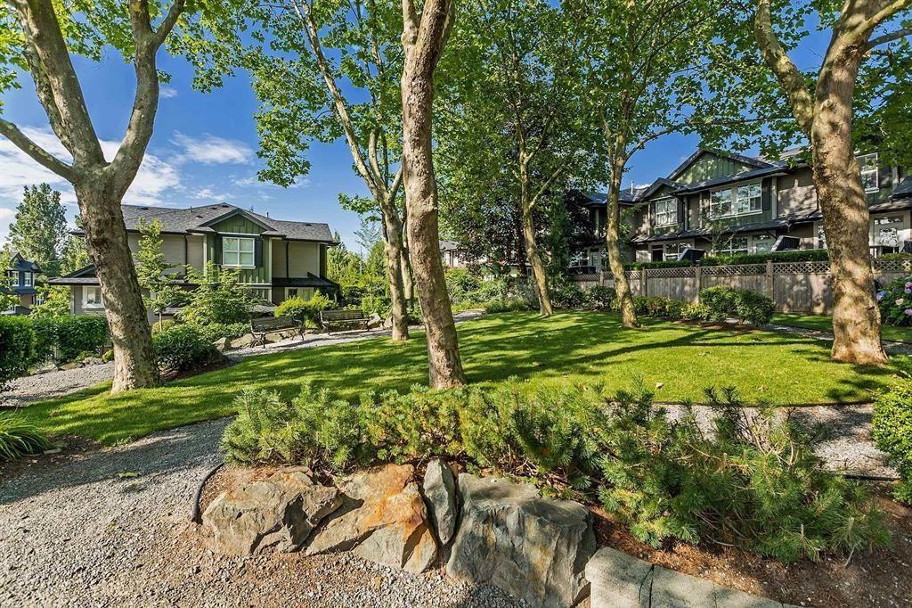 66 18199 70 Avenue, Surrey, British Columbia  V3S 2N9 - Photo 30 - R3048285