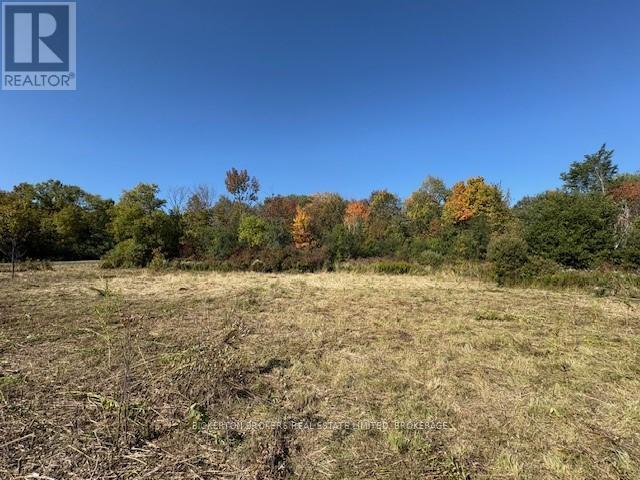 254 Briar Hill Road, Leeds And The Thousand Islands, Ontario  K0E 1N0 - Photo 11 - X12407624