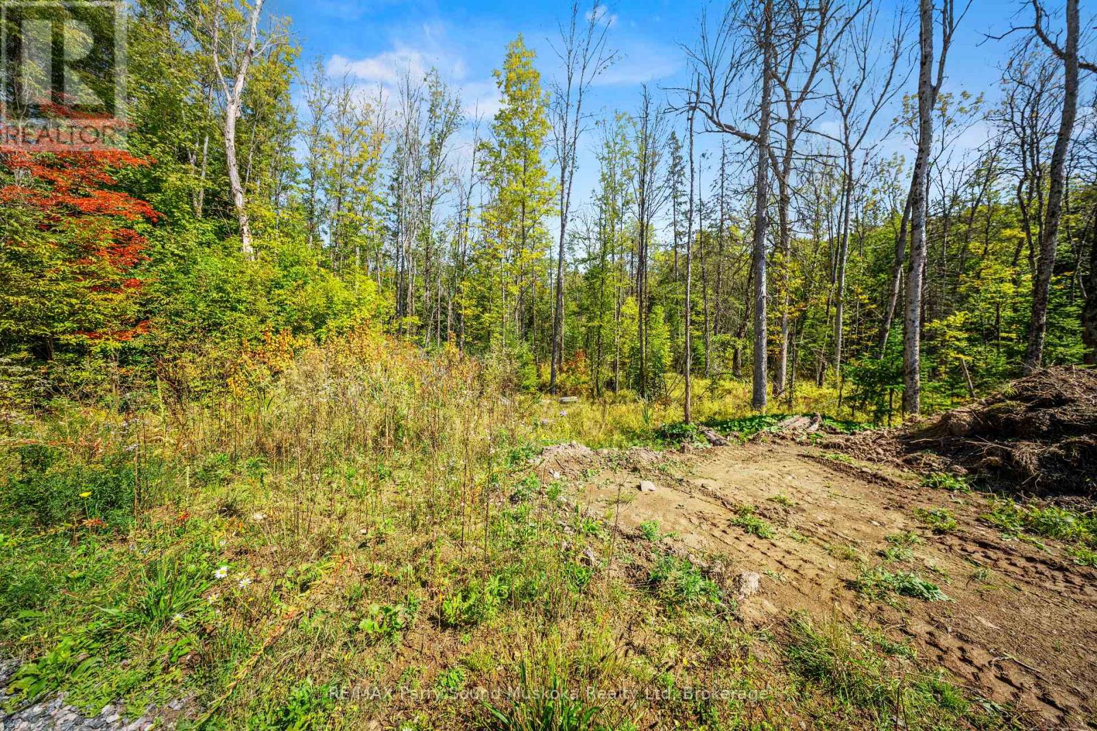 40 Sunset Cove Road, Seguin, Ontario  P2A 0B6 - Photo 13 - X12407627