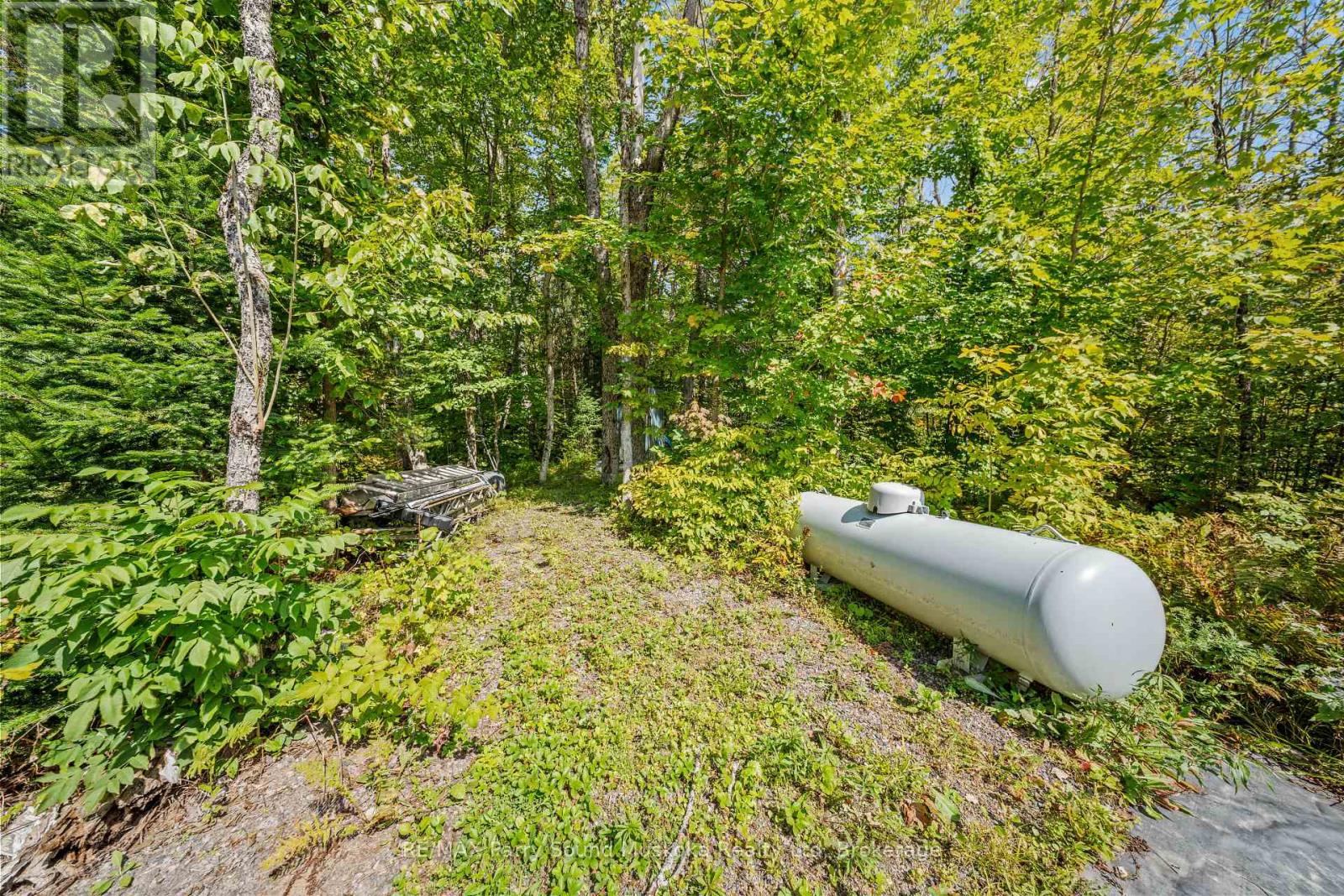 40 Sunset Cove Road, Seguin, Ontario  P2A 0B6 - Photo 14 - X12407627