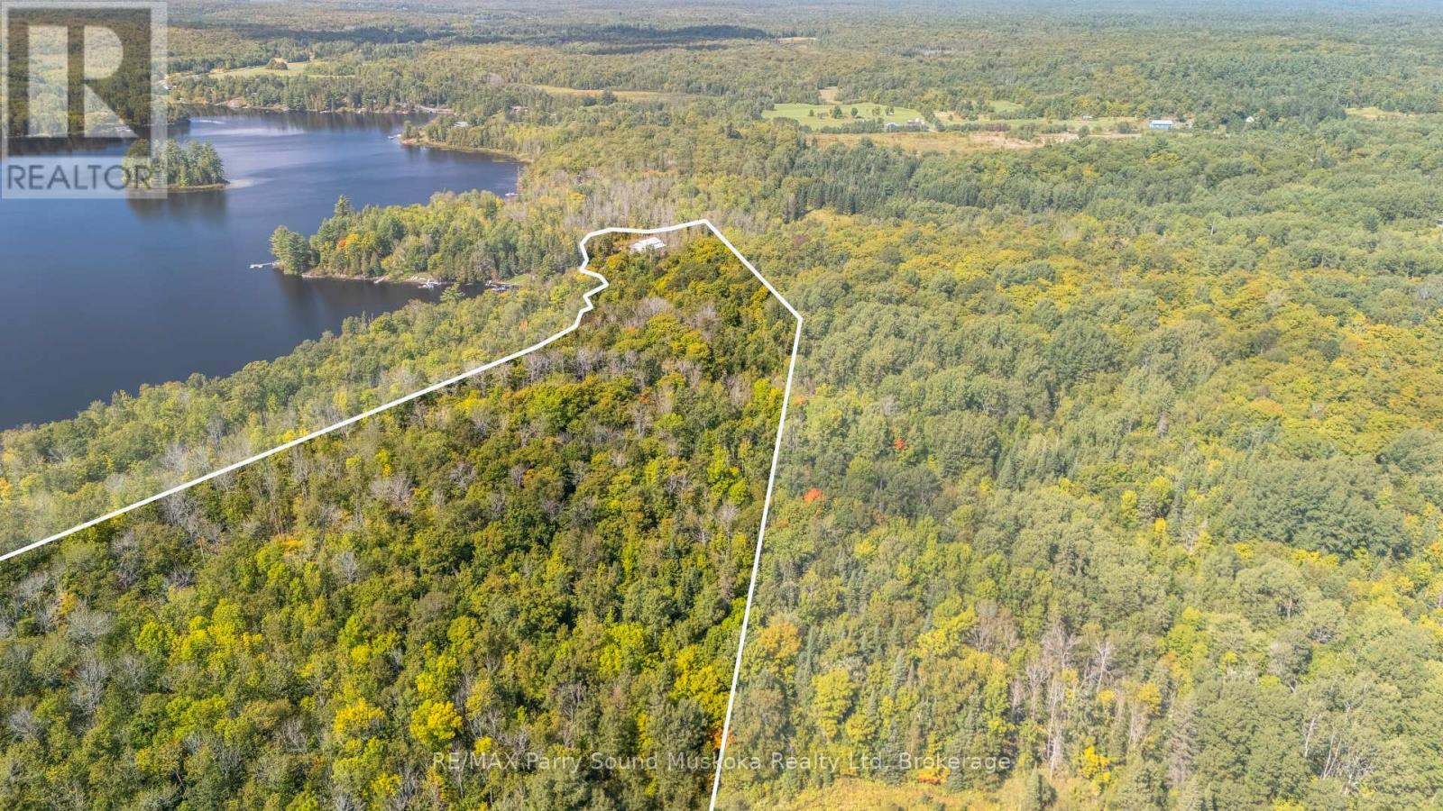 40 Sunset Cove Road, Seguin, Ontario  P2A 0B6 - Photo 6 - X12407627
