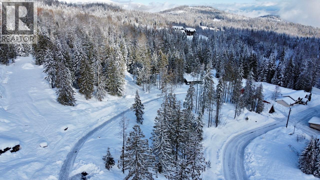 310 Ridge Road, Rossland, British Columbia  V0G 1Y0 - Photo 12 - 10346502