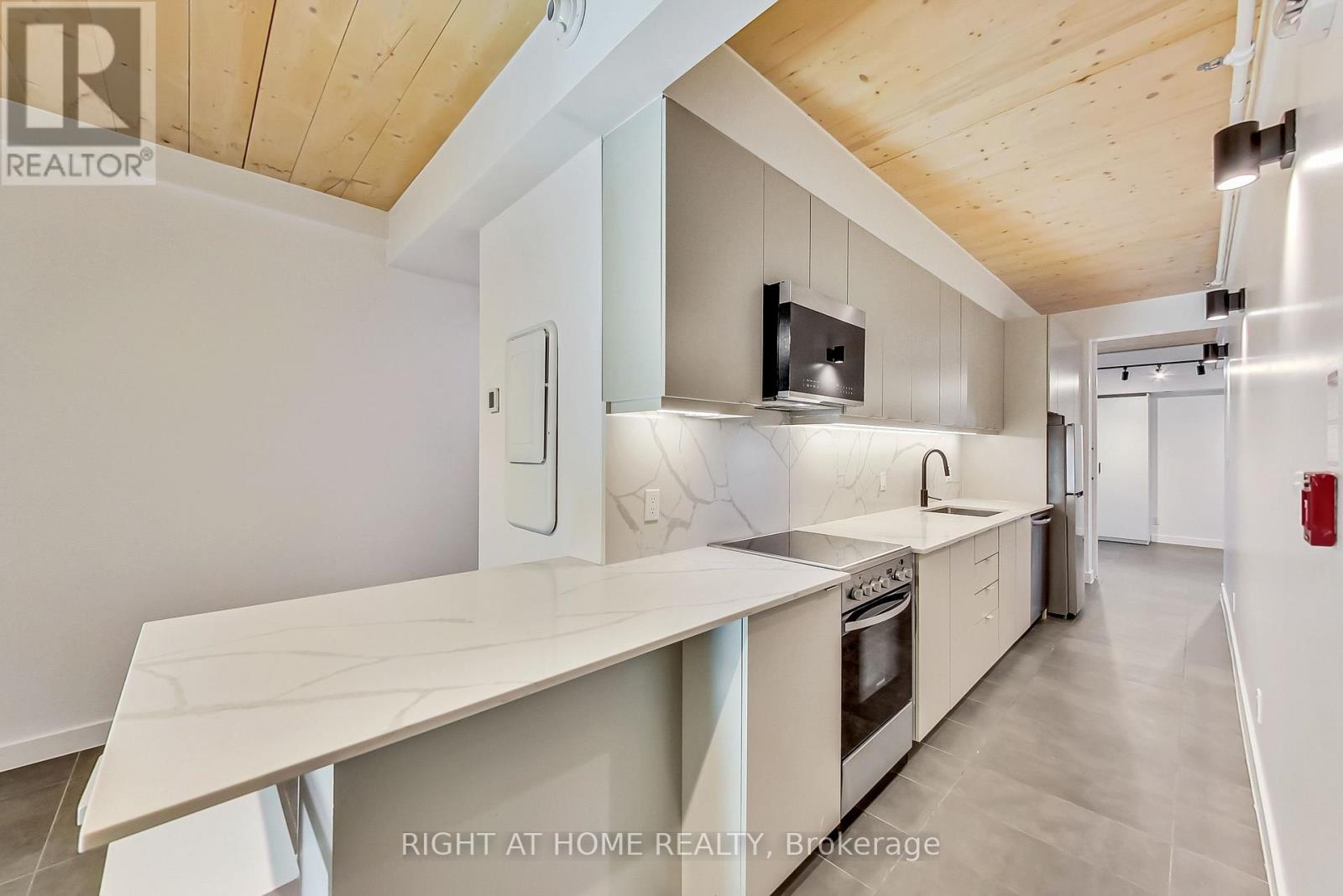 301 - 1602 Queen Street E, Toronto, Ontario  M4L 1G2 - Photo 6 - E12407607