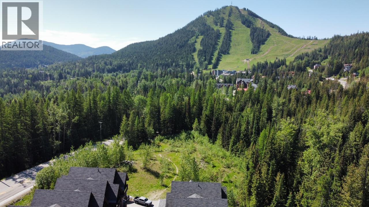 Lot 2 Granite View Road, Rossland, British Columbia  V0G 1Y0 - Photo 9 - 10362019