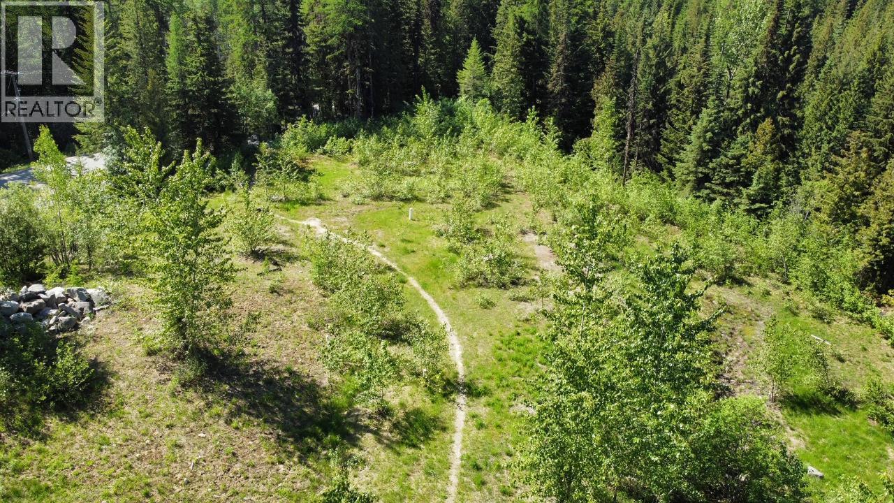 Lot 2 Granite View Road, Rossland, British Columbia  V0G 1Y0 - Photo 4 - 10362019