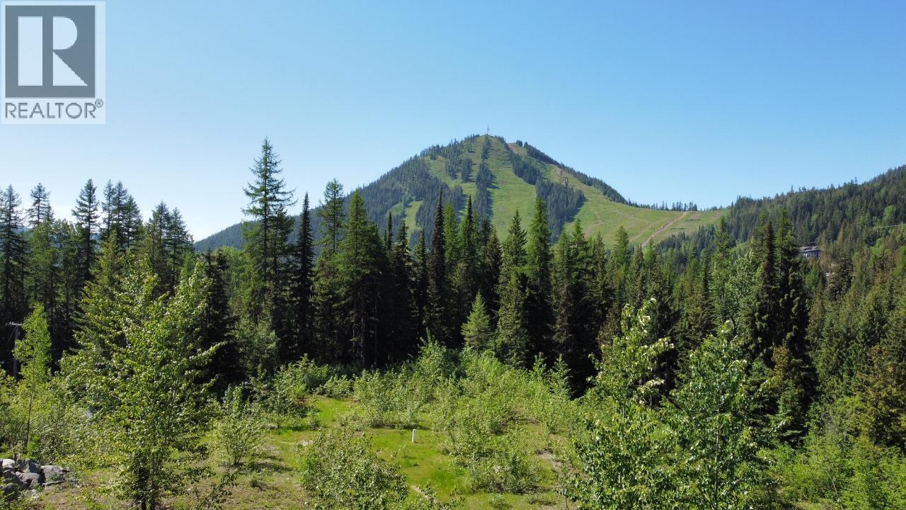 Lot 2 Granite View Road, Rossland, British Columbia  V0G 1Y0 - Photo 6 - 10362019