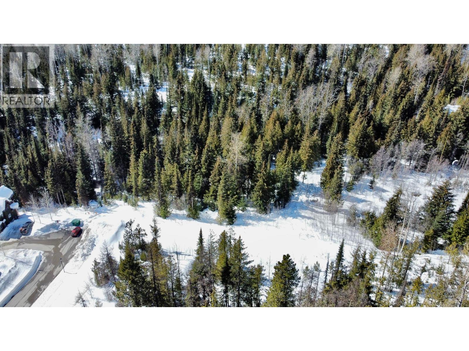 Lot 2 Granite View Road, Rossland, British Columbia  V0G 1Y0 - Photo 12 - 10362019