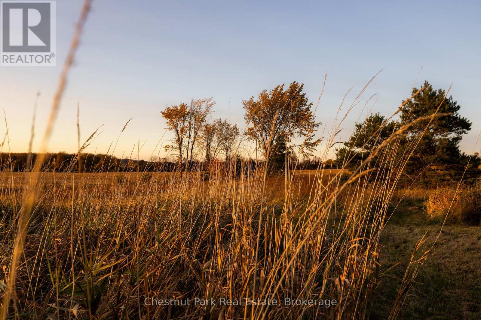 324310 Sideroad 27 Road, Meaford, Ontario  N0H 1B0 - Photo 41 - X12407755