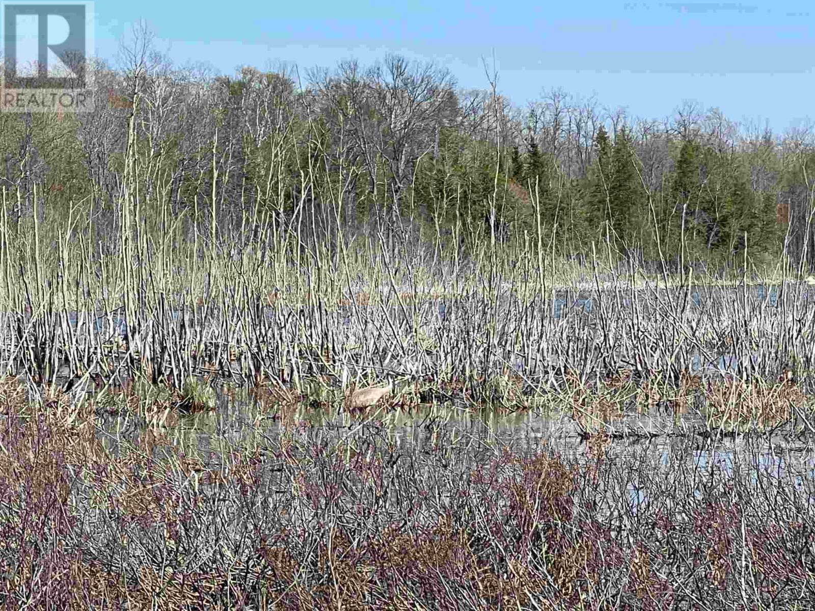 4957 Gordon Rd, Jocelyn Township, Ontario  P0R 1G0 - Photo 12 - SM252655