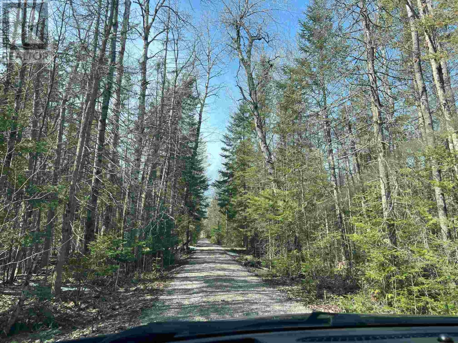 4957 Gordon Rd, Jocelyn Township, Ontario  P0R 1G0 - Photo 19 - SM252655